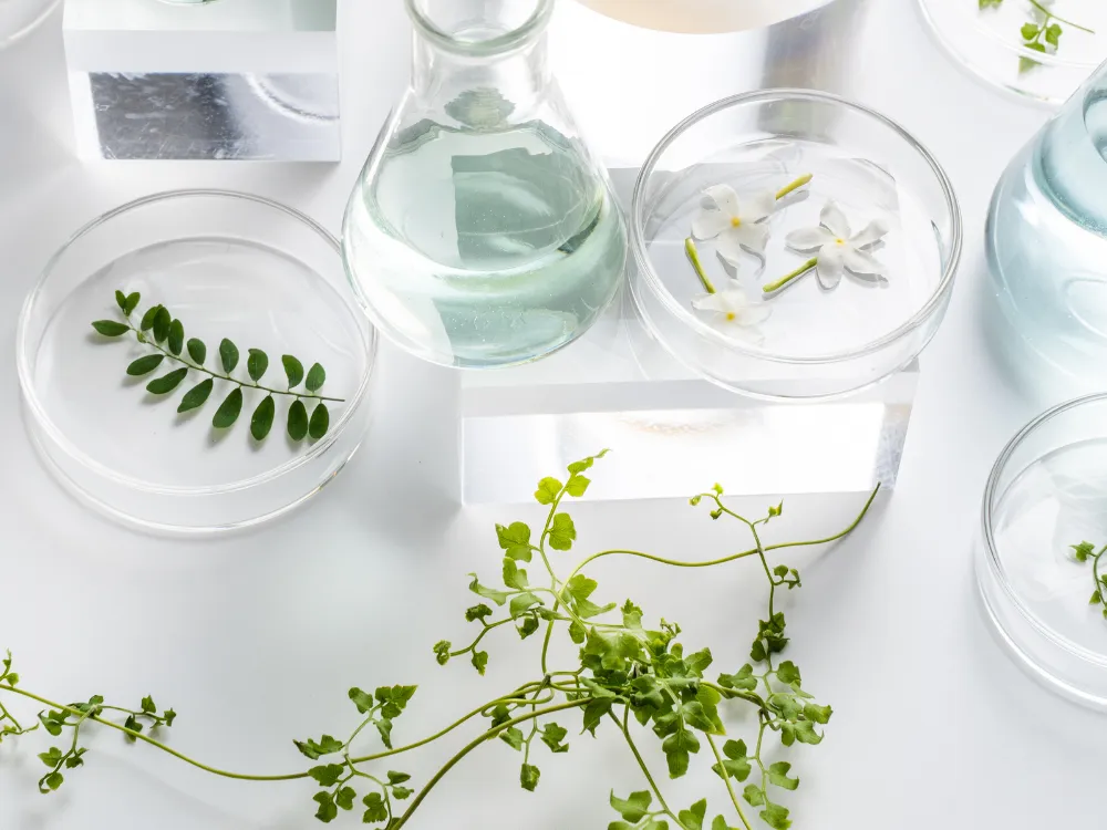 How Fertility Testing Works: A Guide for Women and Men