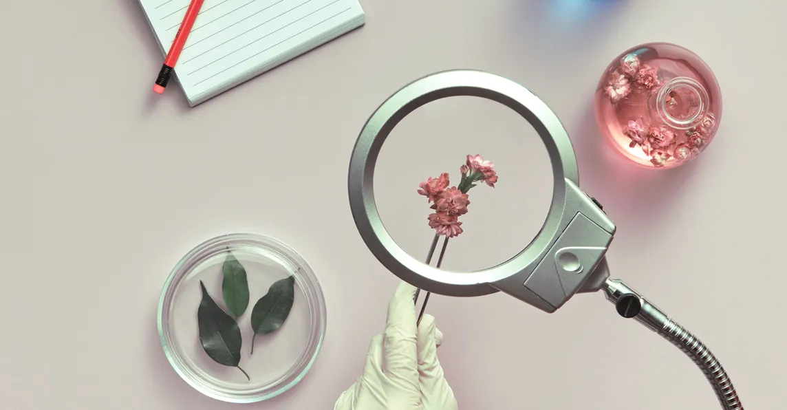 Flowers under a magnifying glass